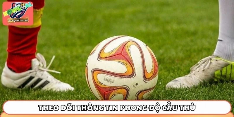 Theo dõi thông tin phong độ cầu thủ