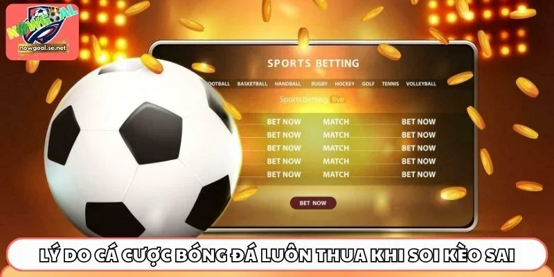 Lý do cá cược bóng đá luôn thua khi soi kèo sai