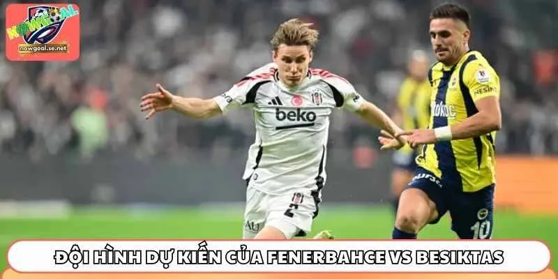 Tương quan lực lượng và đội hình dự kiến của Fenerbahce vs Besiktas