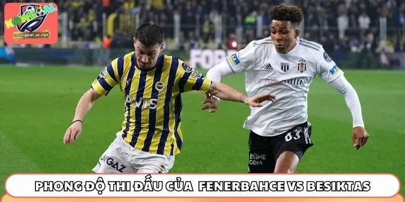 Phong độ thi đấu thời gian qua của Fenerbahce vs Besiktas