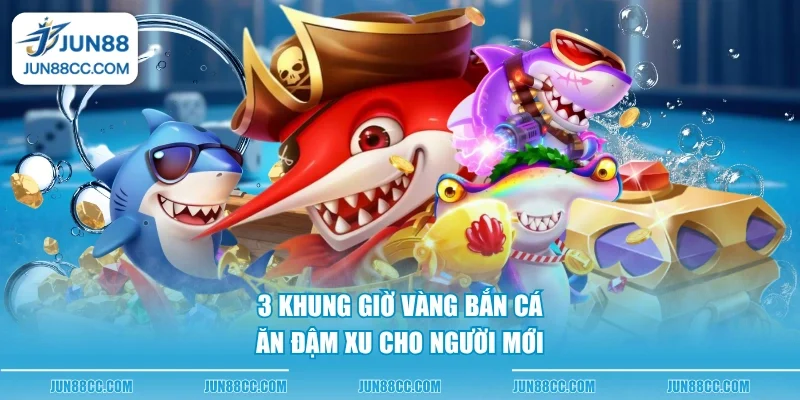 3 khung gio vang ban ca an dam xu cho nguoi moi 3 khung gio vang ban ca an dam xu cho nguoi moi