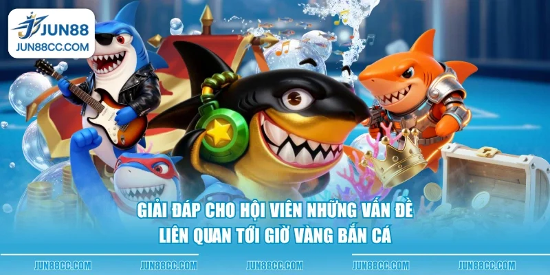 giai dap cho hoi vien nhung van de lien quan toi gio vang ban ca giai dap cho hoi vien nhung van de lien quan toi gio vang ban ca